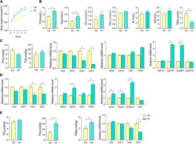 Short-Term High-Fat Diet Fuels Colitis Progression in Mice Associated With Changes in Blood Metabolome and Intestinal Gene Expression